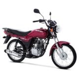 Suzuki AX4: el caballo de batalla para el reparto de principio a fin