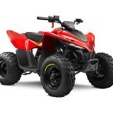 CF Moto CFORCE 110 Estándar: lo que debes saber antes de comprarla